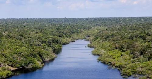 Alerta grave sobre influência estrangeira na exploração de recursos na Amazônia