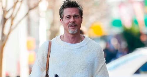 Brad Pitt faz pronunciamento sobre golpe de R$ 5 milhões com fotos fake